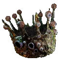 Crown of Eyes