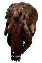 Zerphi's Serape
